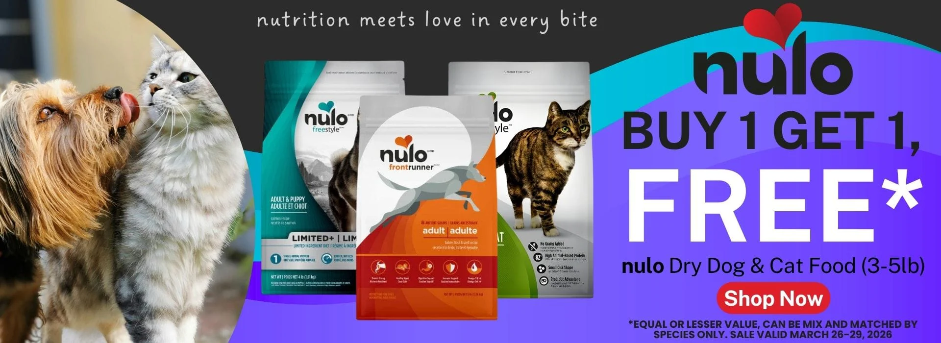 Premium Style for Happy Pets