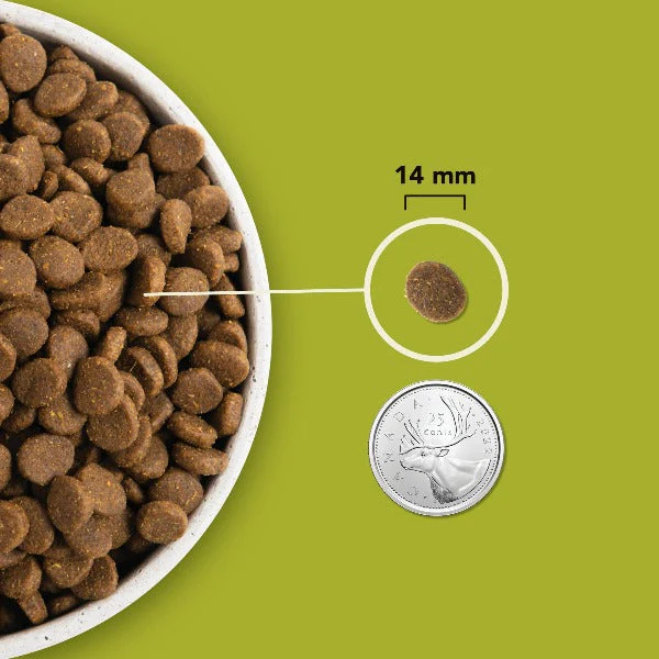 ACANA Highest Protein Grasslands Recipe Dry Dog Food - Image 4