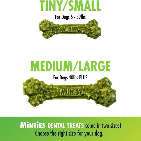 Minties Tiny/Small Dental Bones for Dogs - Image 3